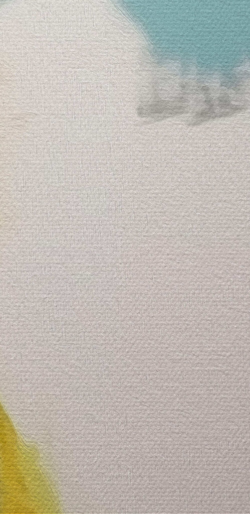 Colorful bird with black beak