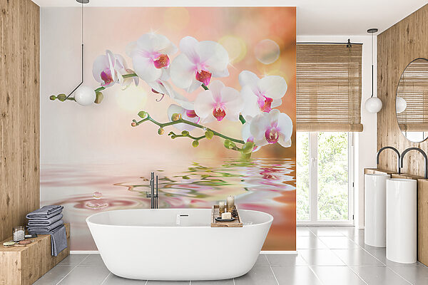 Fehér orchideák egy ágon, vízfodrokkal Fehér orchideák egy ágon, vízfodrokkal