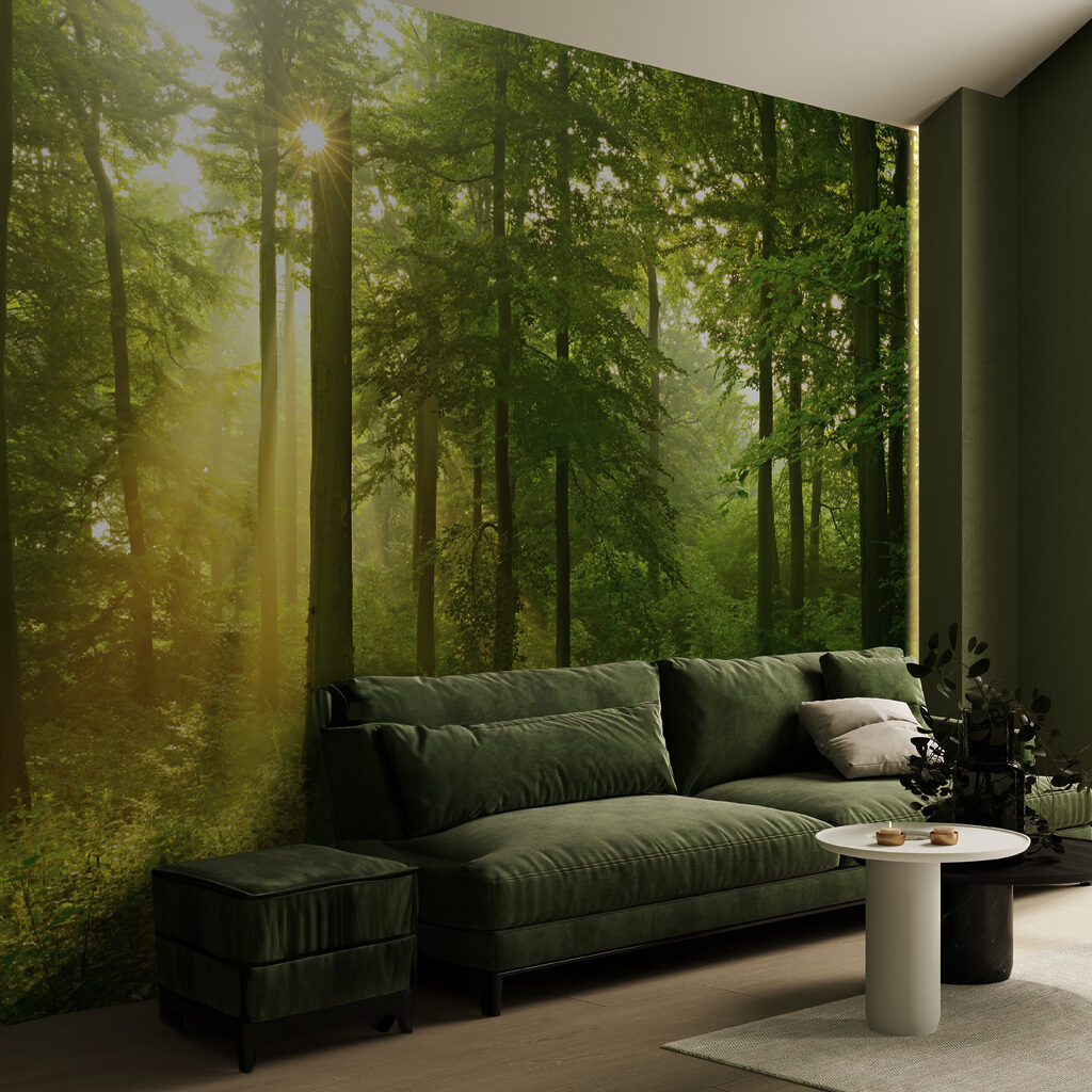 Sun shining through trees Sun shining through trees