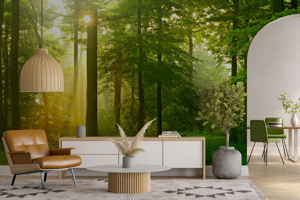 Sun shining through trees Sun shining through trees