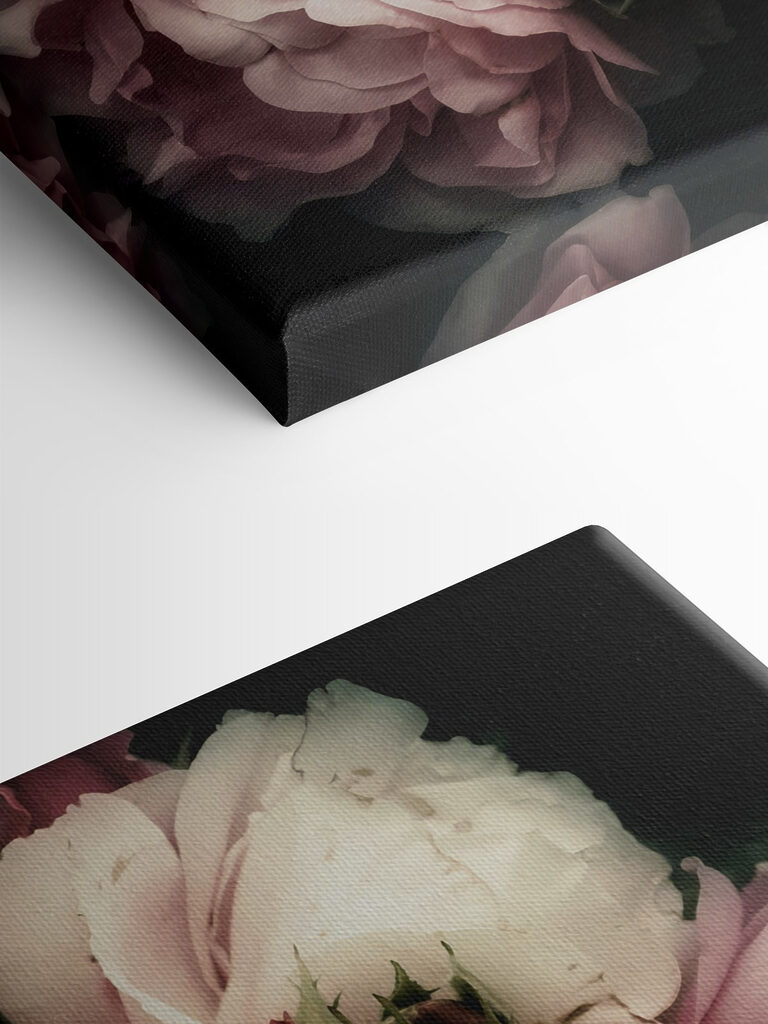 A group of pink and white roses A group of pink and white roses