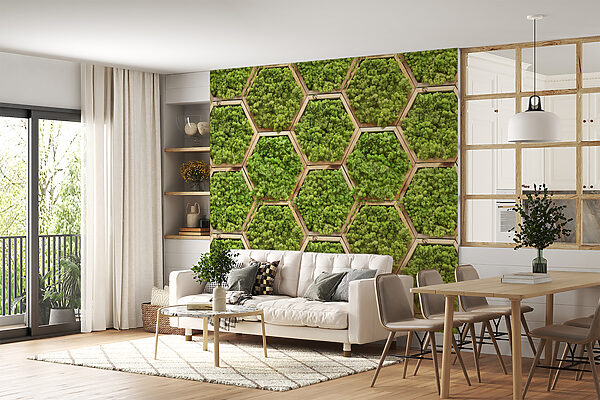 Wall of plants in hexagons Wall of plants in hexagons