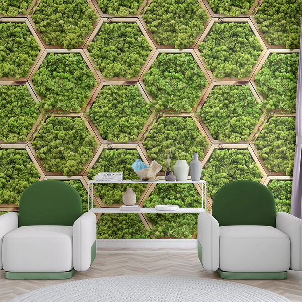 Wall of plants in hexagons Wall of plants in hexagons