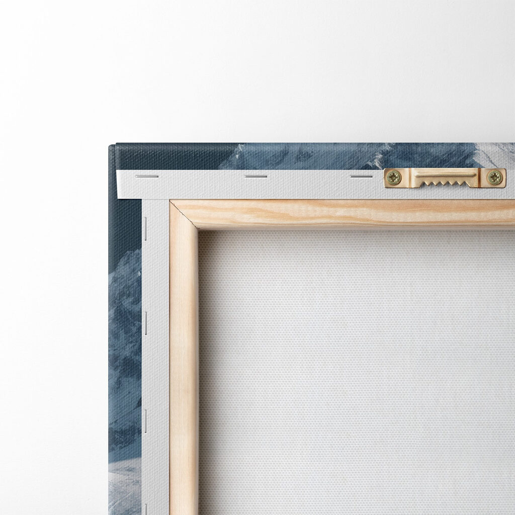 Snowy mountain with trees and snow