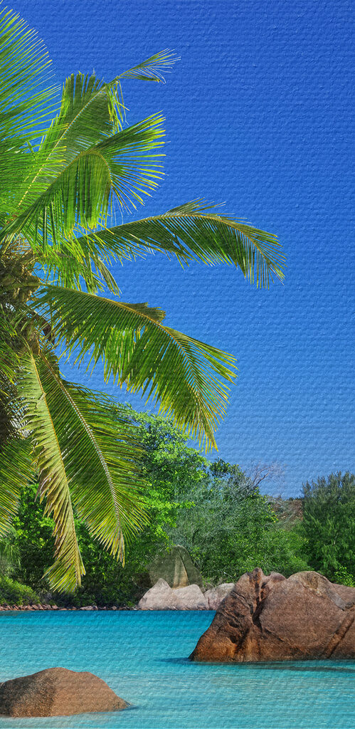 A beach with palm trees and blue water