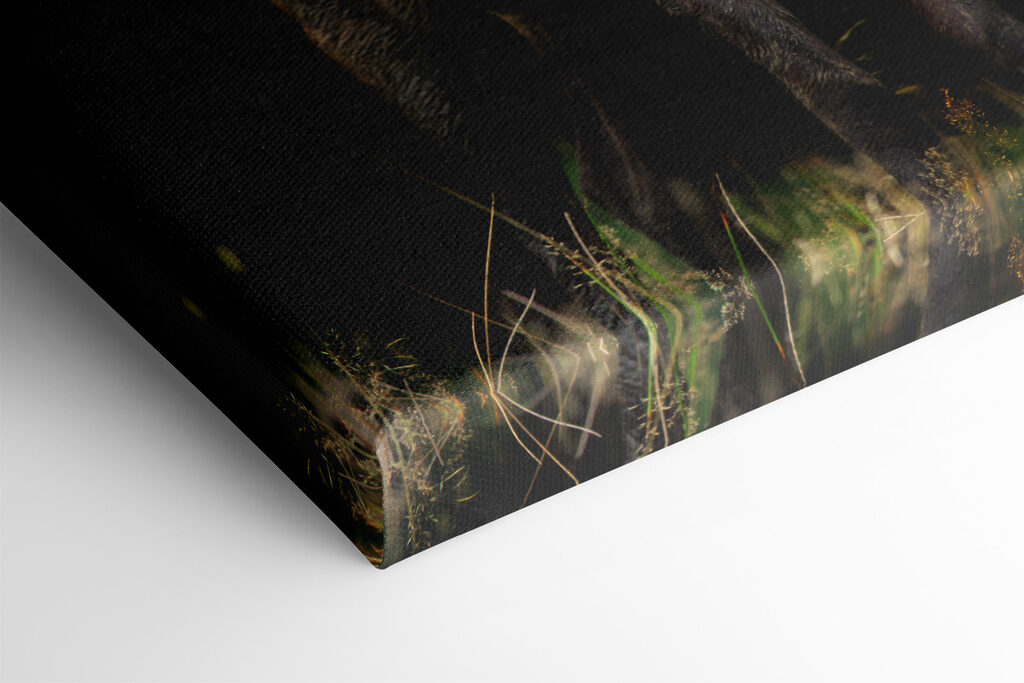 A deer with antlers standing in the dark A deer with antlers standing in the dark