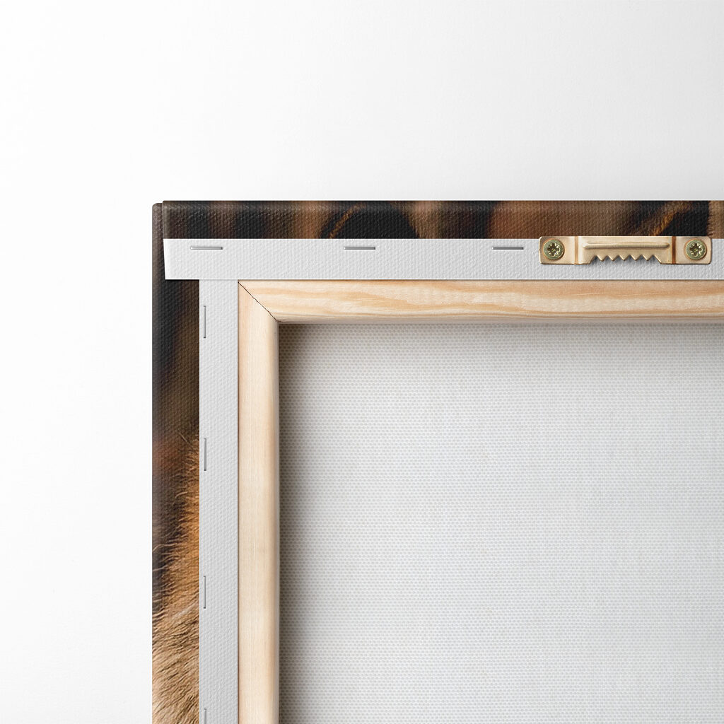 A couple of wolves in the woods