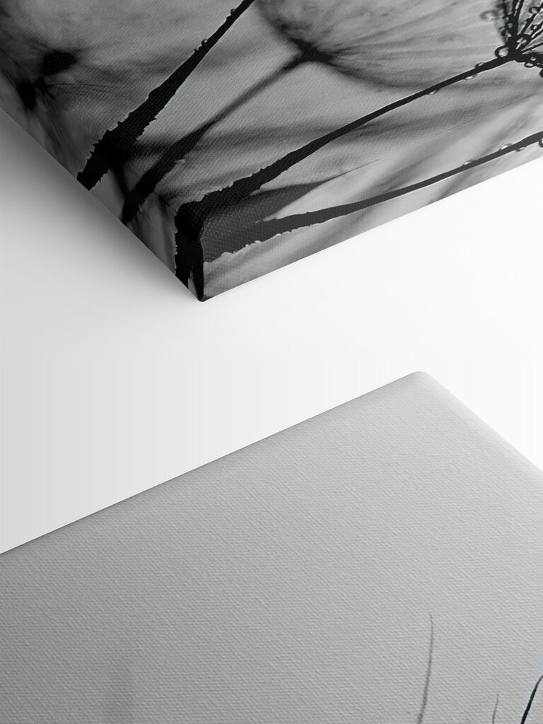 Close up of water droplets on seeds