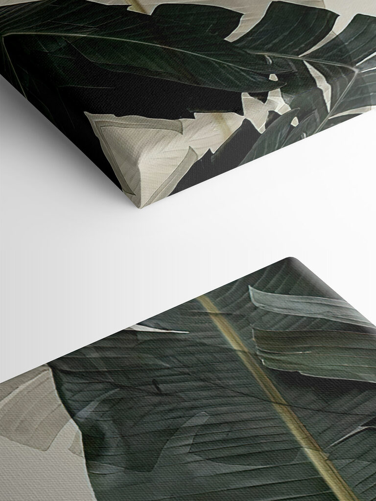 A close up of leaves