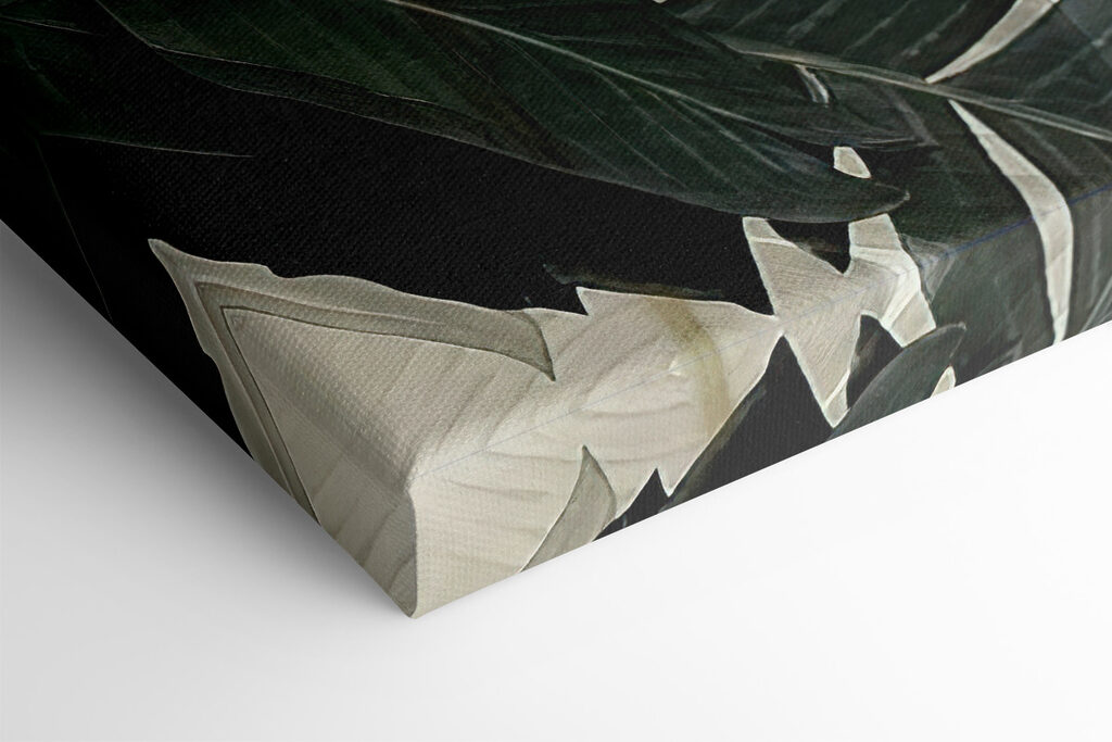 A close up of leaves