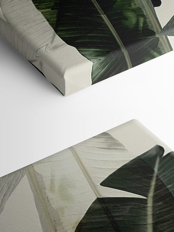 A close up of a plant A close up of a plant