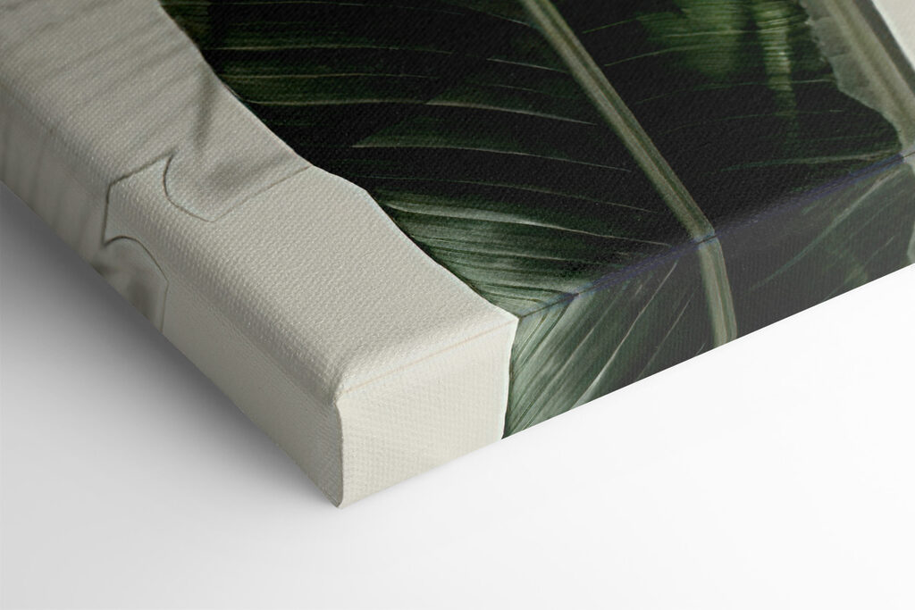 A close up of a plant A close up of a plant