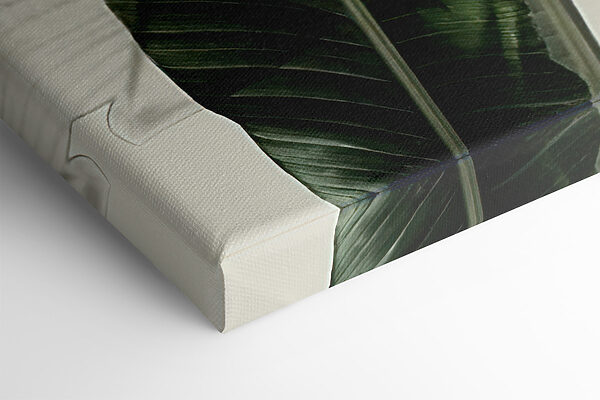 A close up of a plant A close up of a plant