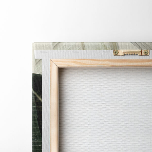 A close up of a plant A close up of a plant