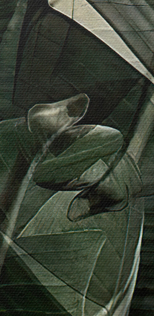 A close up of a plant A close up of a plant