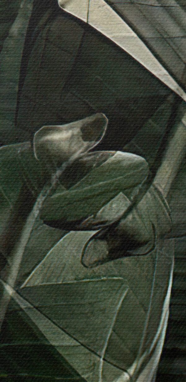 A close up of a plant A close up of a plant