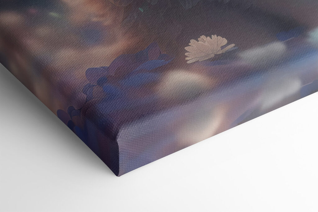 A white fluffy cat with blue eyes