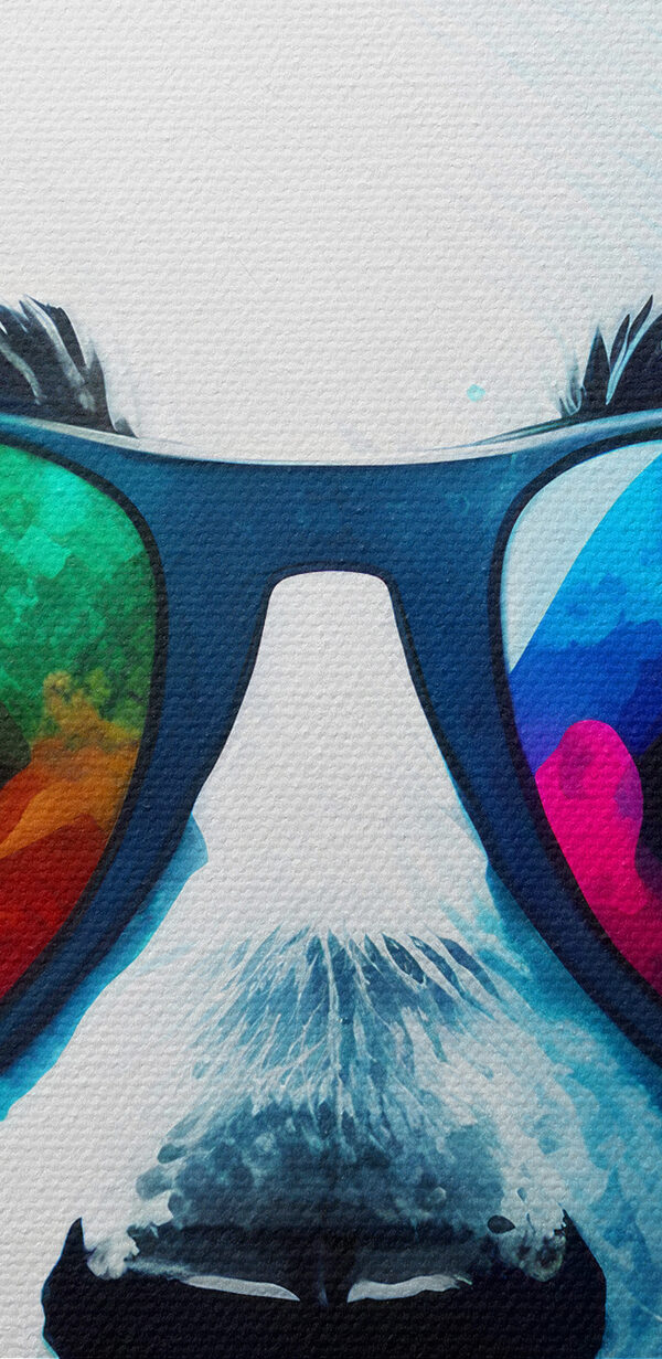 Fejhallgatót és napszemüveget viselő panda Fejhallgatót és napszemüveget viselő panda