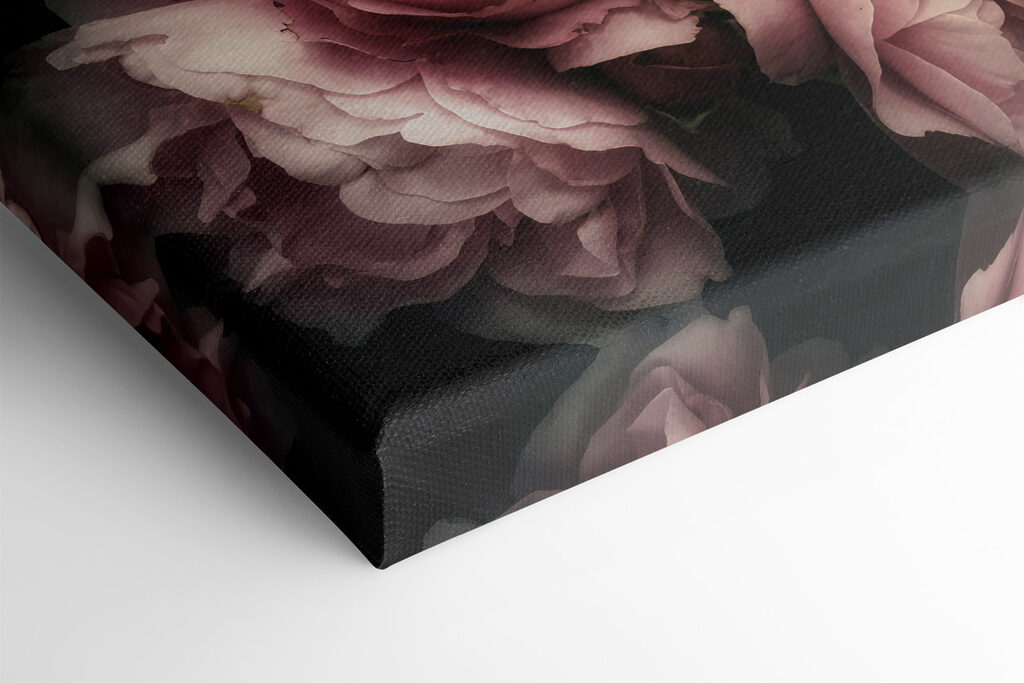 A group of pink and white roses A group of pink and white roses