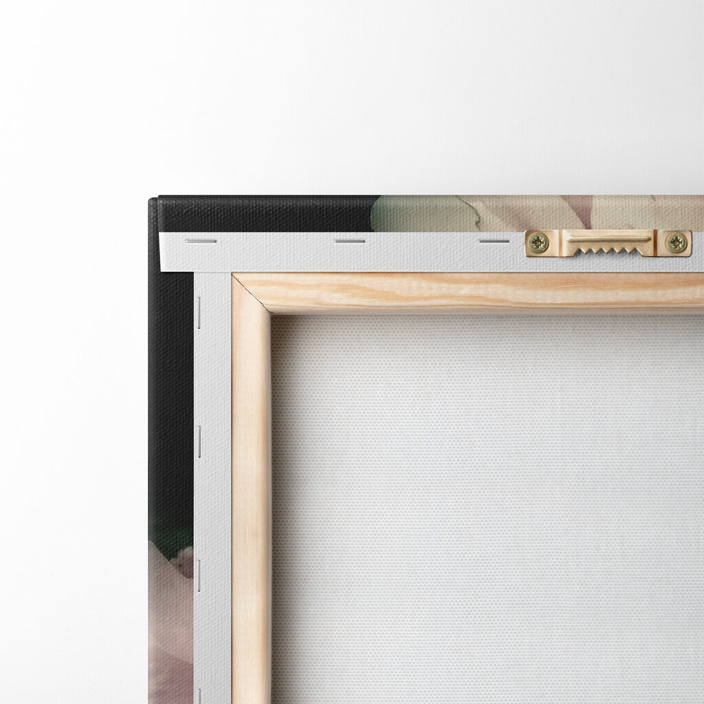 A group of pink and white roses A group of pink and white roses