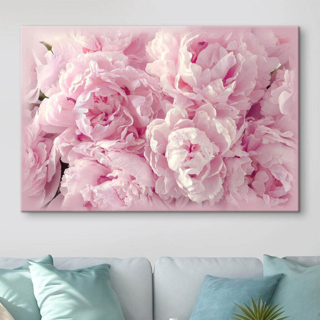 A group of pink flowers