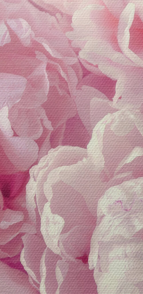 A group of pink flowers