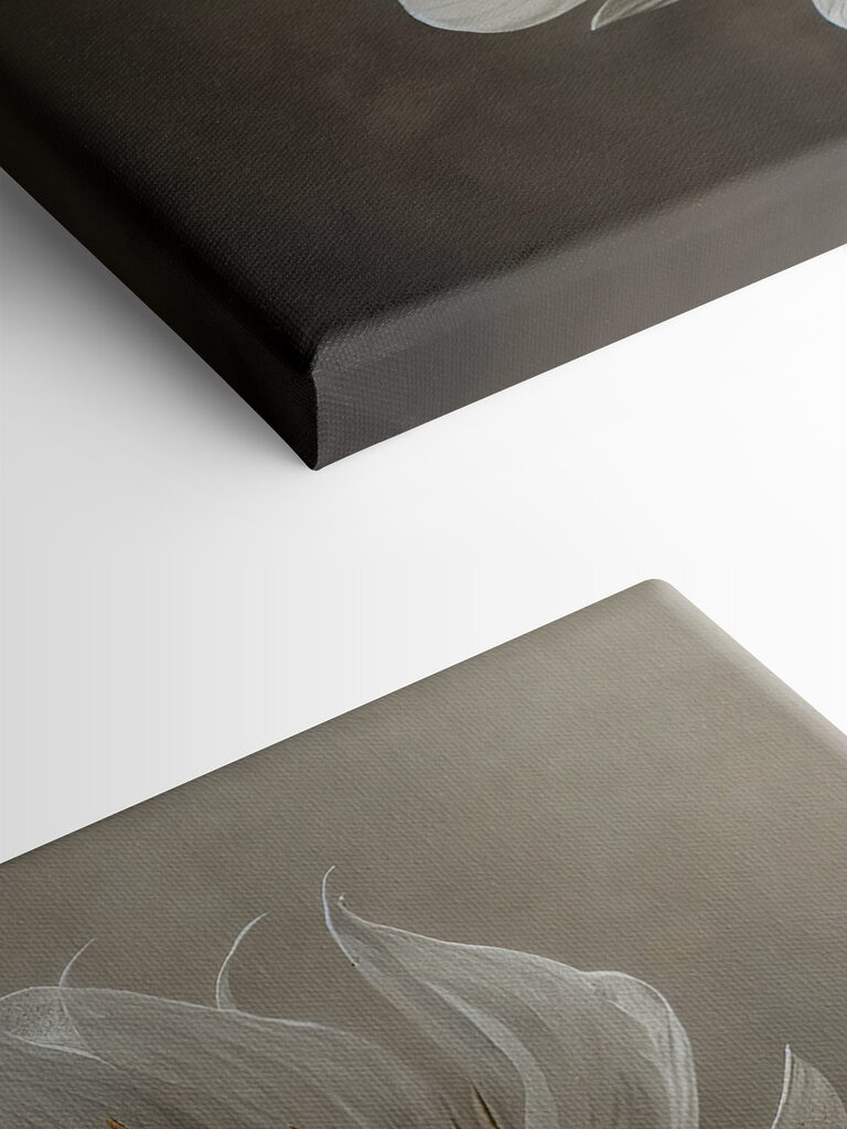 A white flower with a yellow center