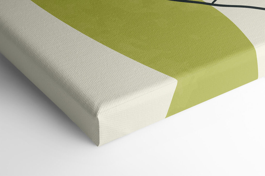 A drawing of a plant