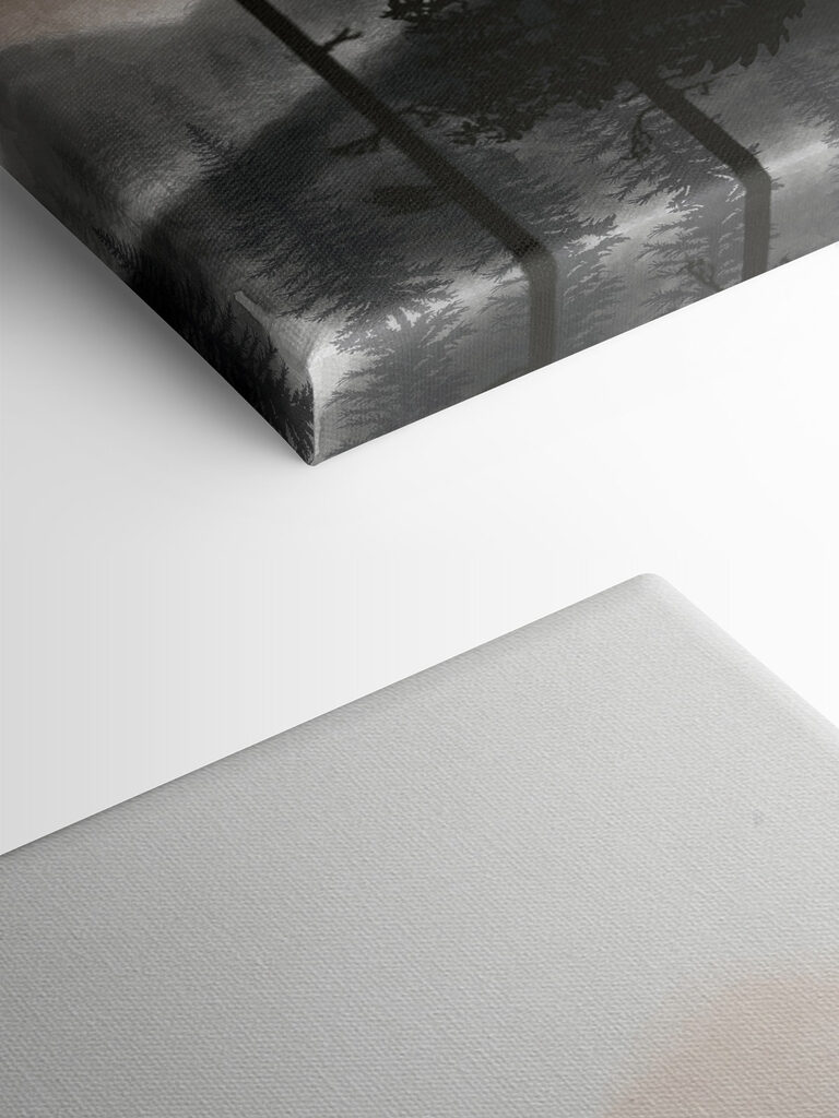 A group of trees in the fog