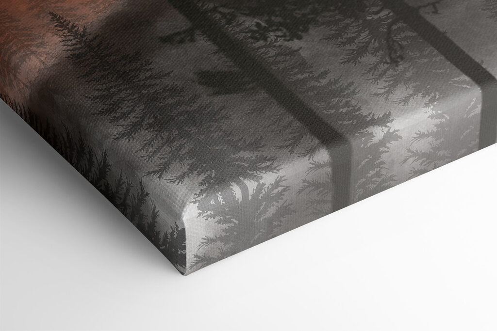 A group of trees in the mountains