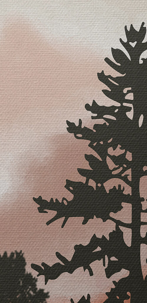 A group of trees in the mountains