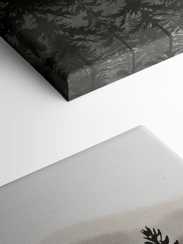 A group of trees in a forest