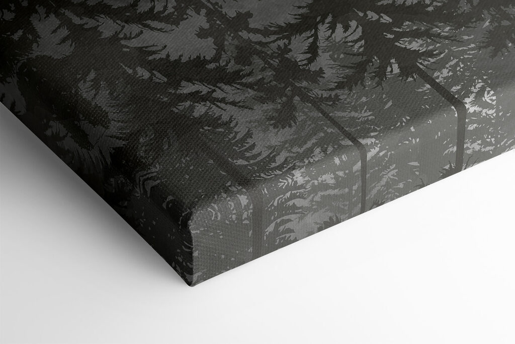 A group of trees in a forest