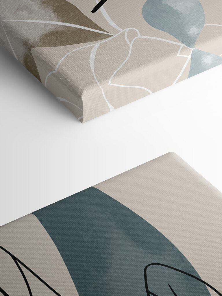 A close up of a leaf