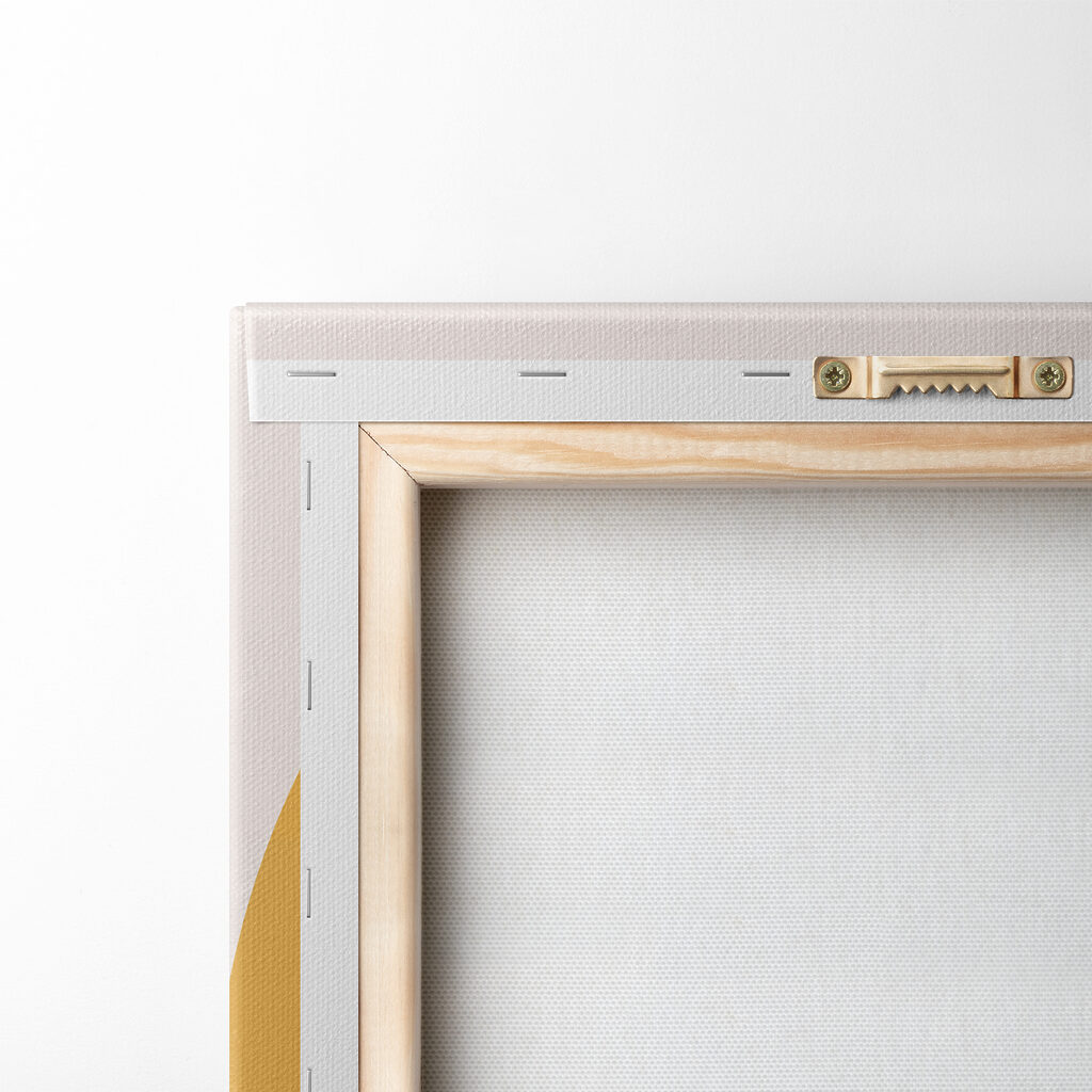 A fruit and leaves on a white background