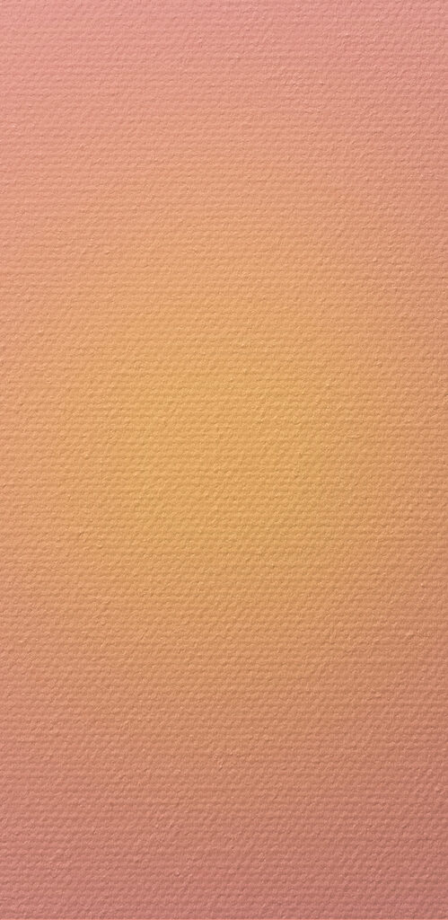 A pink and yellow circle