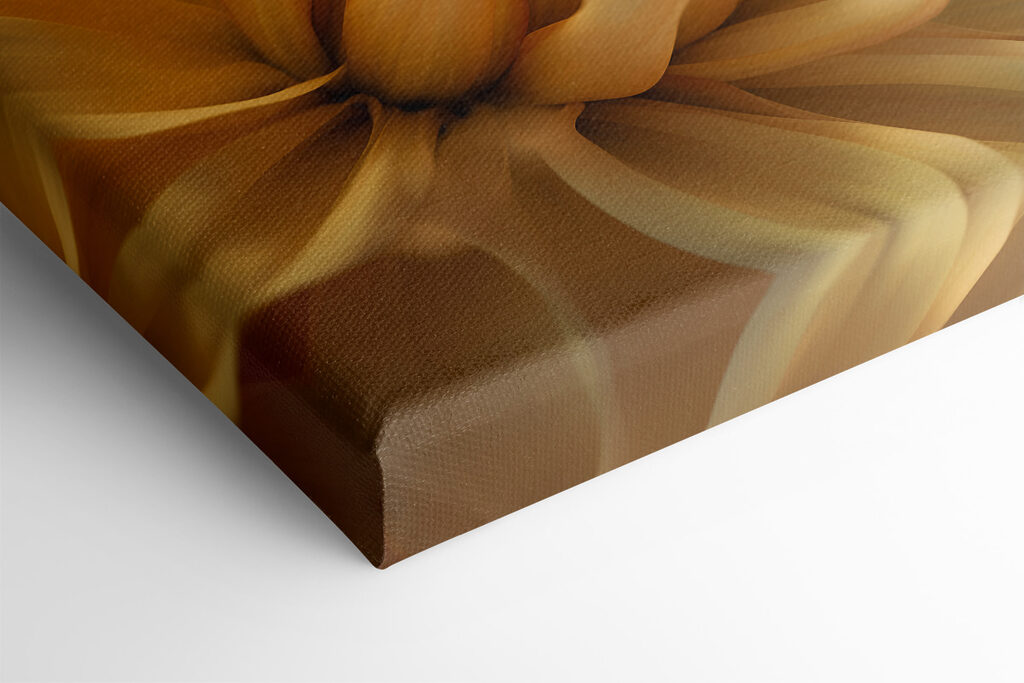 A close up of a flower