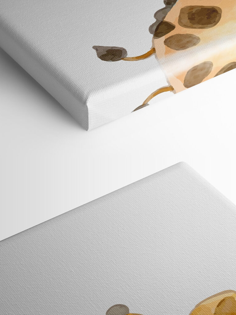 A giraffe with a white background