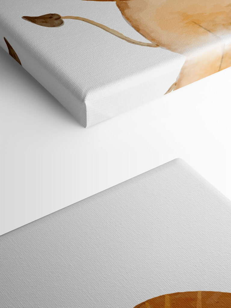 A lion with a large brown mane A lion with a large brown mane