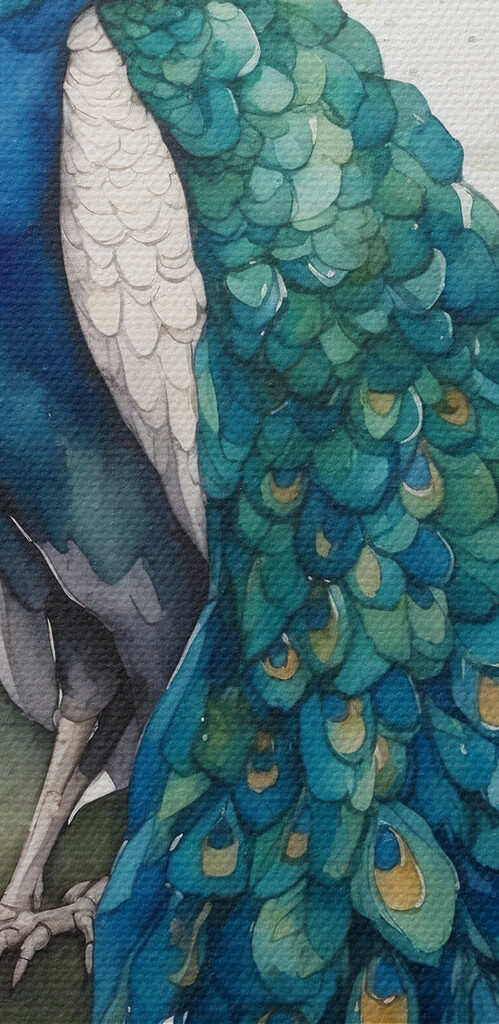 A watercolor of a peacock