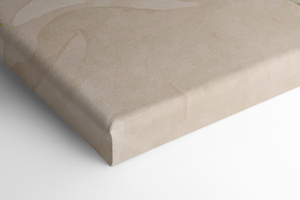 A dream catcher with feathers A dream catcher with feathers