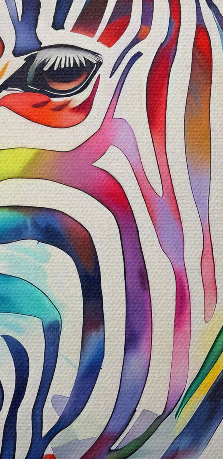 Egy színes zebra szivárvány színekkel