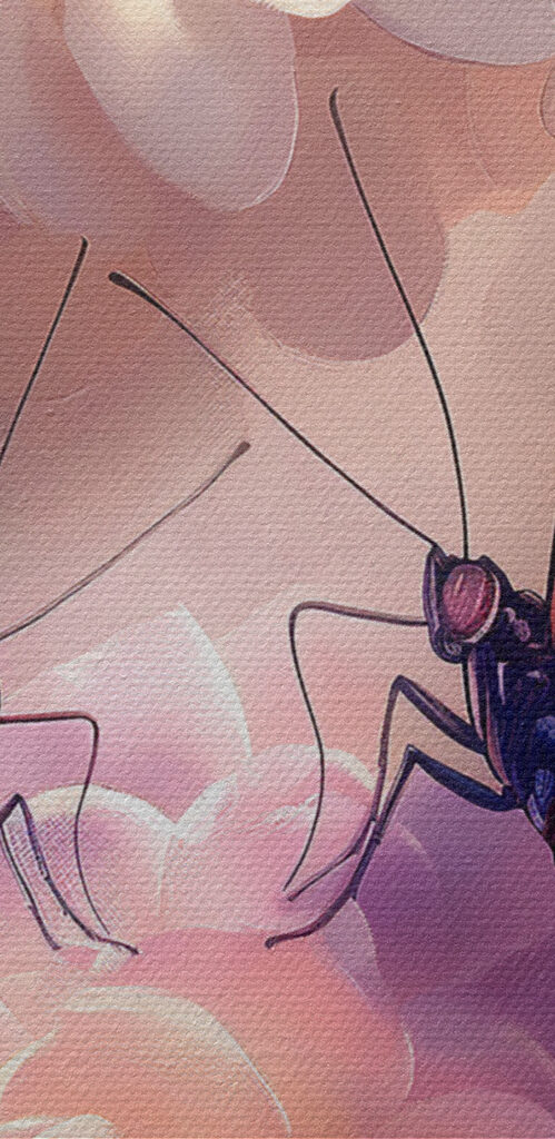 Two butterflies on a flower