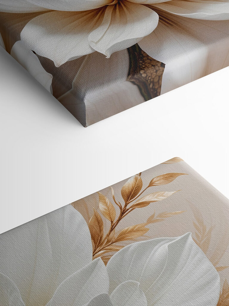 Close up of a white flower