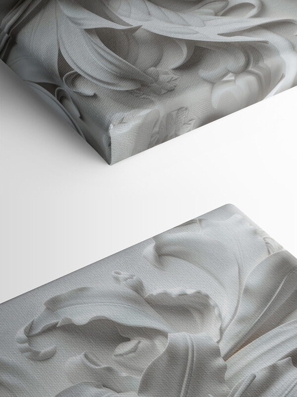 White flower on a white surface