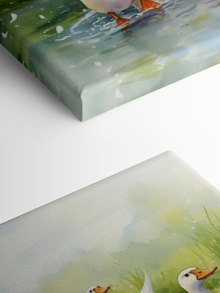 Group of white ducks swimming in water