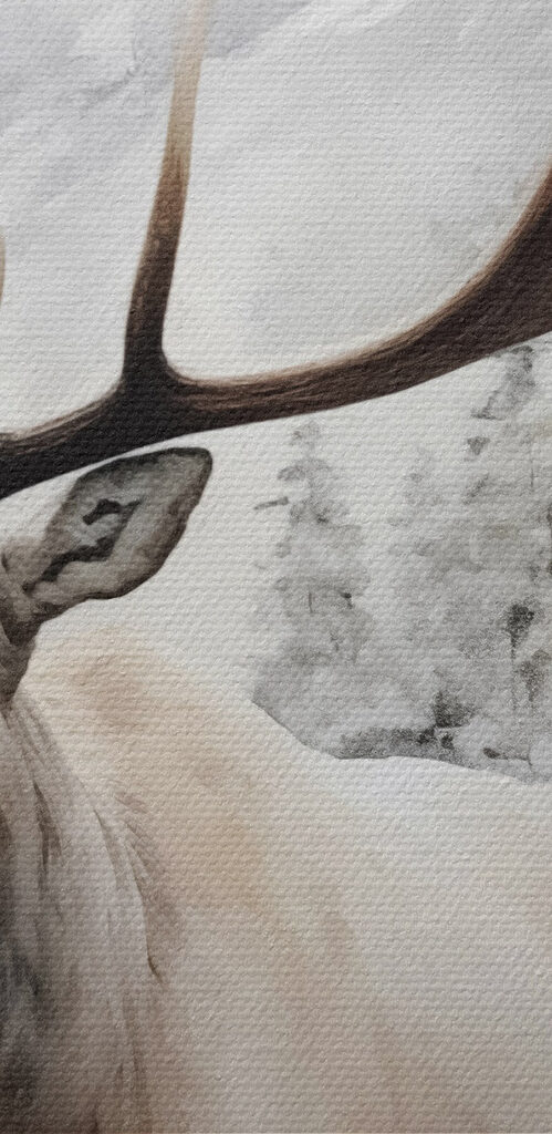 Moose with large antlers standing in a snowy forest