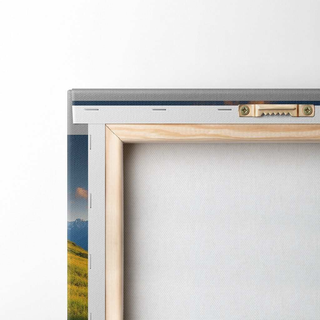 Field of flowers with mountains in the background