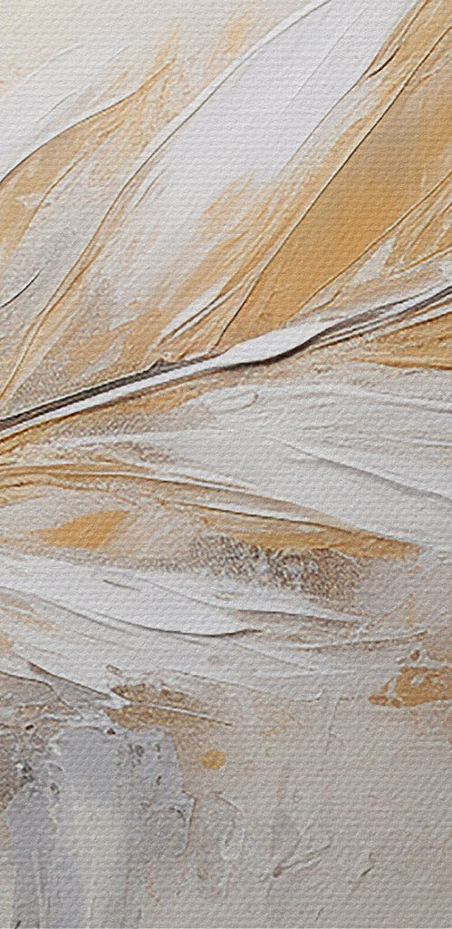Delicate feather on a soft background