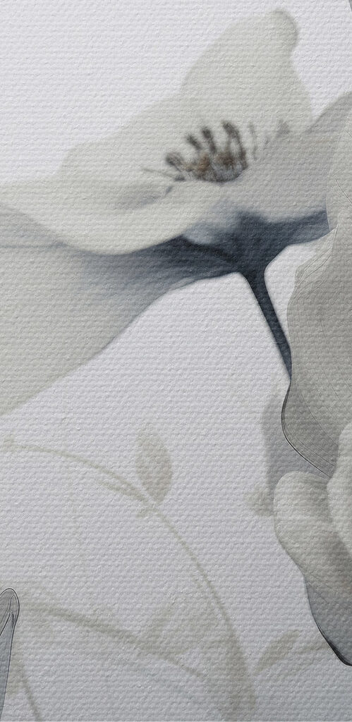 Delicate petals in soft tones